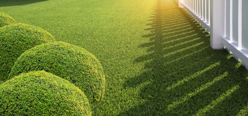 Low-Maintenance Landscaping With Artificial Grass