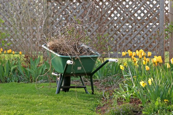Flower Bed Cleanup Service in Conway