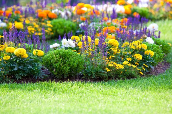 Flower Bed Maintenance in Conway