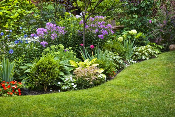 Flower Bed Service in Conway