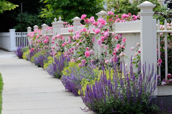 Garden Handyman Service in Conway
