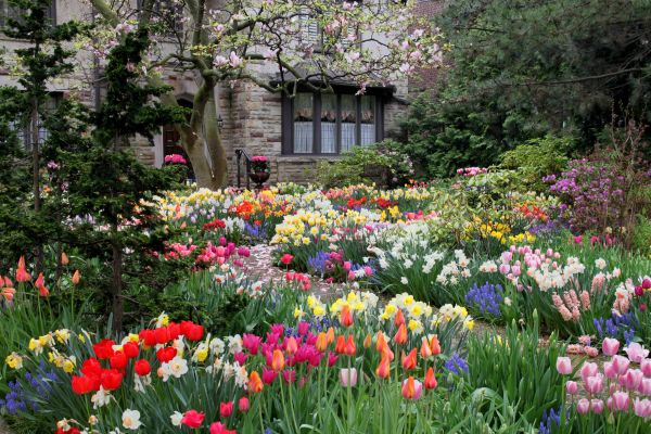 Garden Maintenance Service in Conway