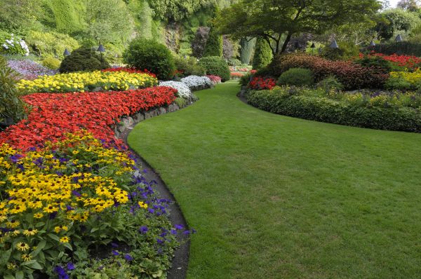 Landscaping Maintenance in Conway