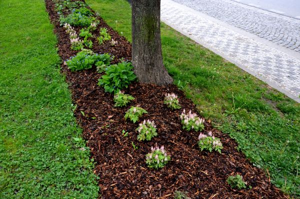 Mulch Replacement Service in Conway