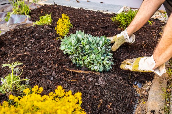 Weeding And Mulching in Conway