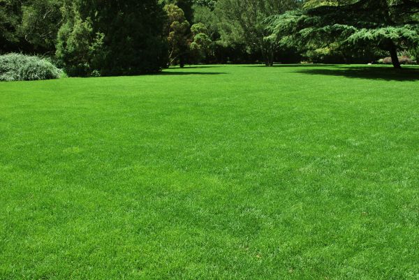 Lawn Landscaping in Conway