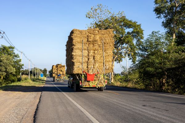 Pine Straw Delivery in Conway