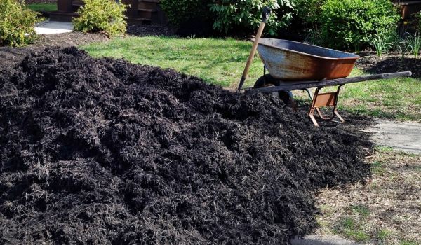 Black Mulch Delivery in Conway