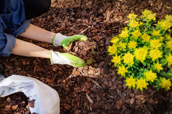 Garden Mulching in Conway