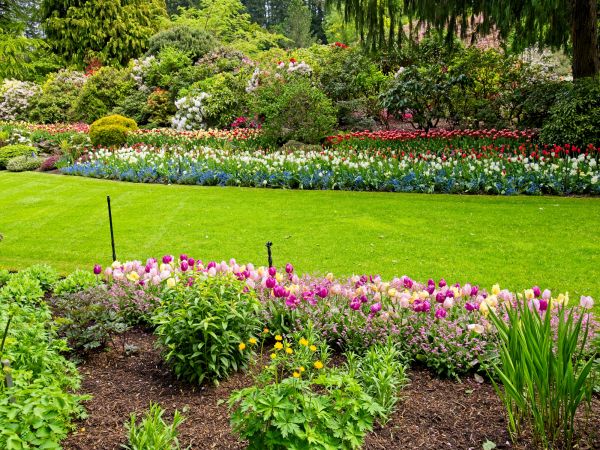 Residential Landscape Design in Conway