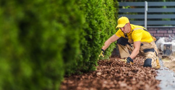 Cypress Mulch Installation in Conway