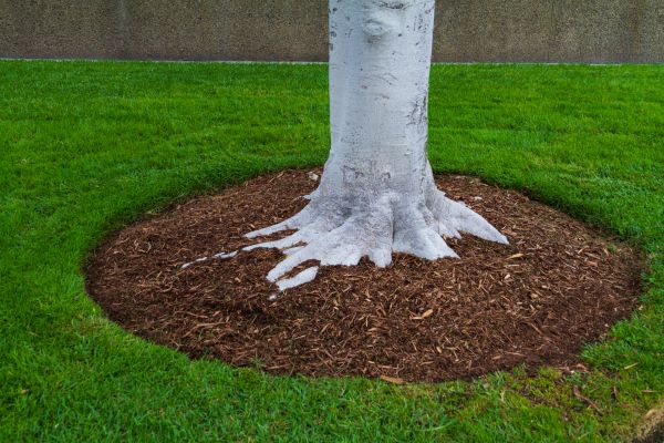 Brown Mulch Installation in Conway