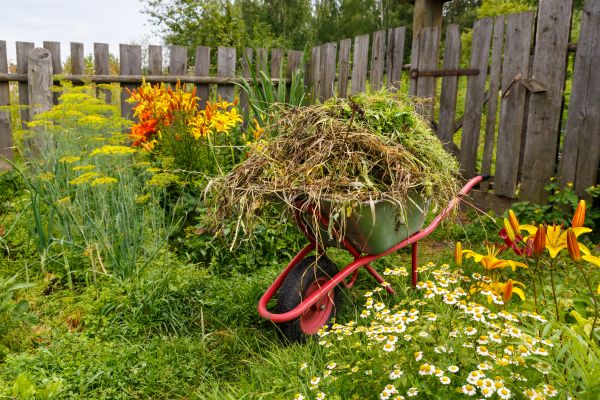 Garden Cleanup Service in Conway