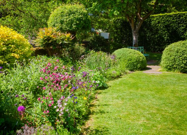 Yard Landscaping Service in Conway