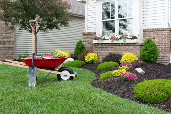 Tree And Shrub Planting in Conway