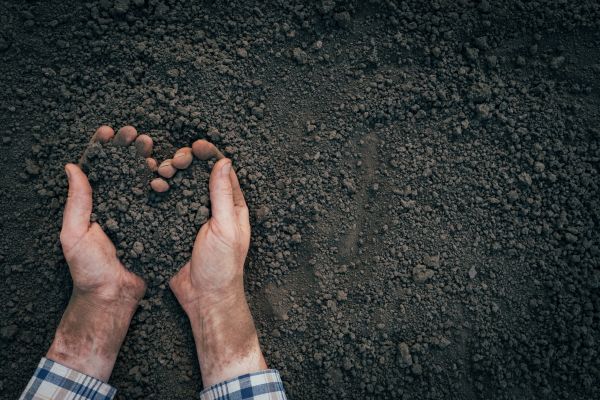 Soil Installation in Conway