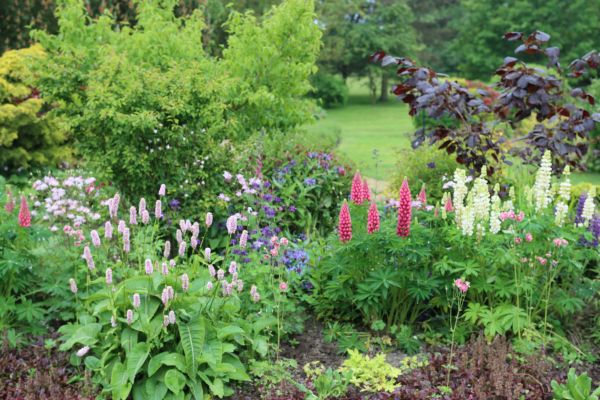 Flower Bed Planting in Conway