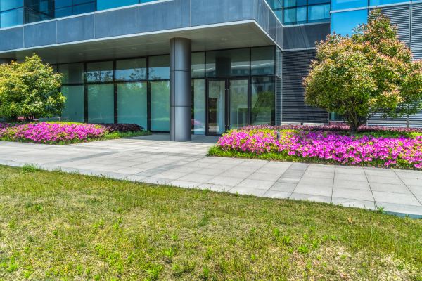 Commercial Gardening in Conway