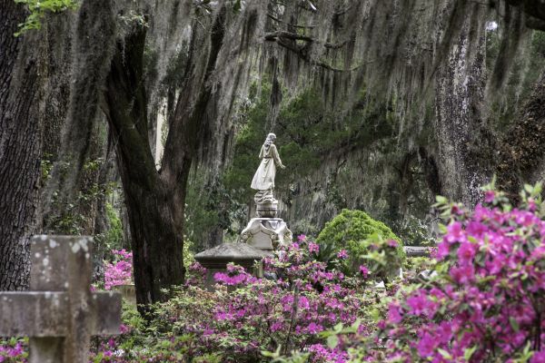 Cemetery Landscaping in Conway