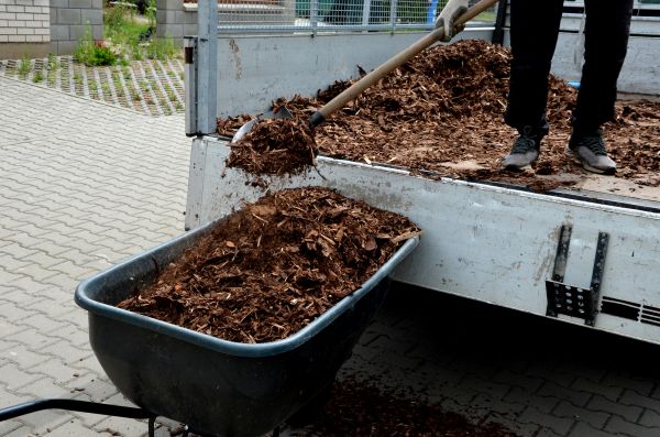 Cypress Mulch Delivery in Conway