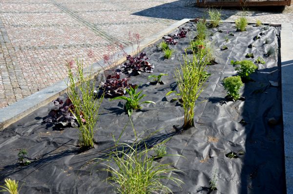 Landscape Fabric Installation in Conway