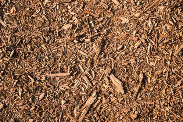 Wood Chips Removal in Conway