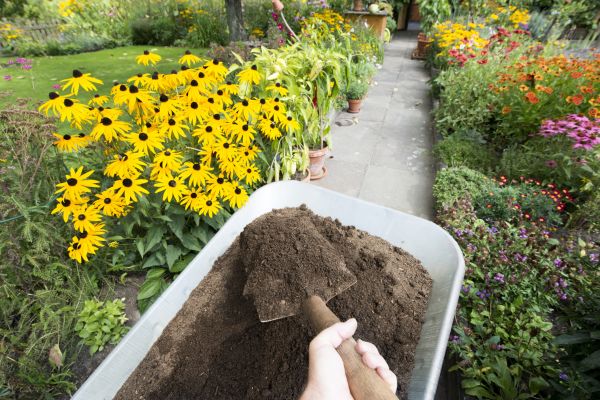 Topsoil Replacement in Conway
