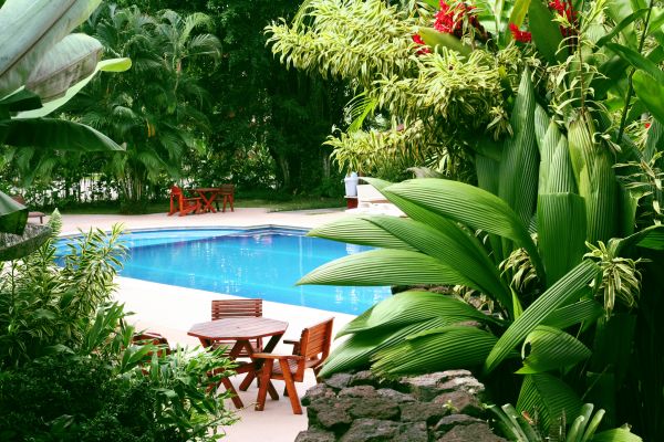Pool Area Landscaping in Conway