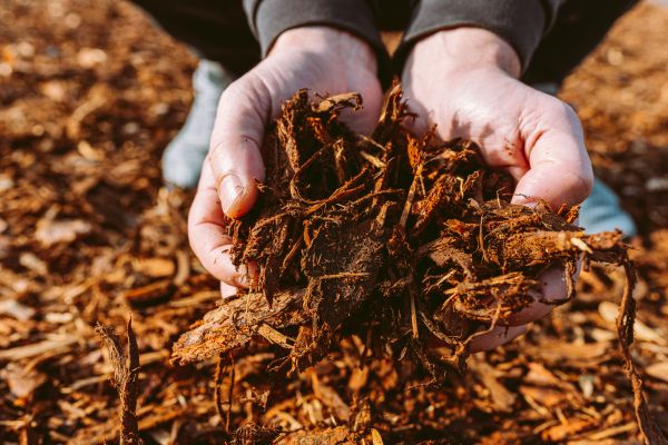 Bark Chips Delivery in Conway