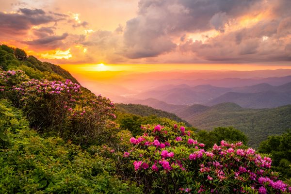 Hill Landscaping in Conway