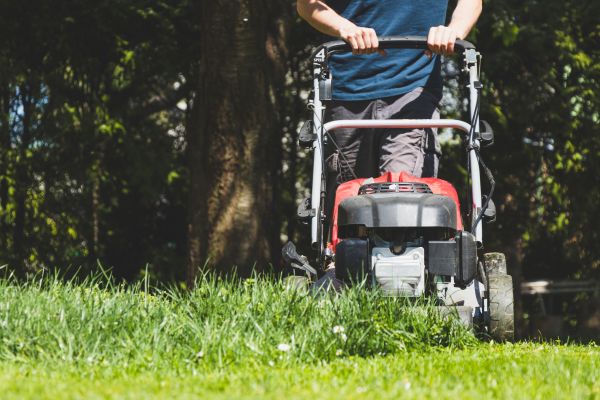 Garden Trimming Service in Conway