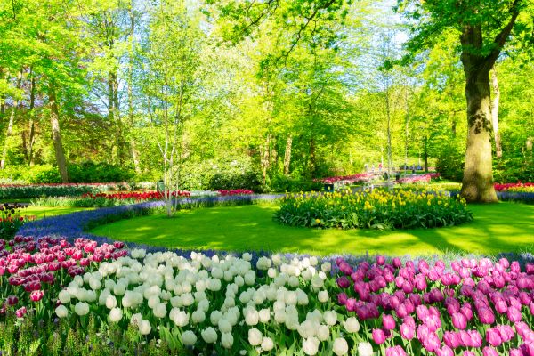 Flower Landscaping in Conway