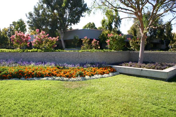 Commercial Landscape Service in Conway