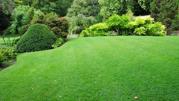 Commercial Landscape Design in Conway