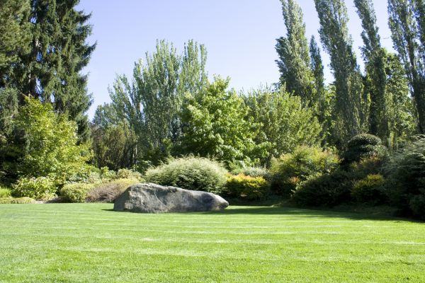 Yard Enlargement in Conway