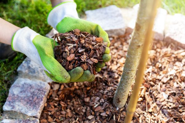 Tree Bark Delivery in Conway