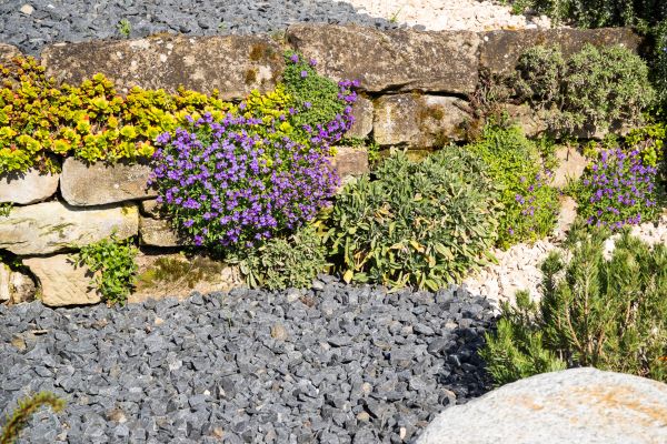 Landscaping Rocks Installation in Conway