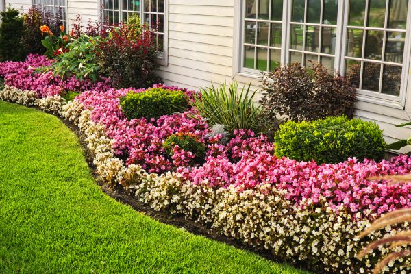 Garden Landscape Design in Conway