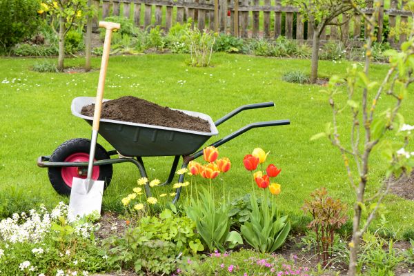 Spring Yard Renovation in Conway