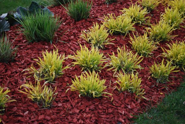 Red Mulch Installation in Conway