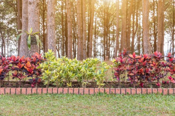 Small Garden Landscaping in Conway