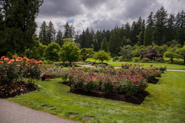 Flower Garden Landscaping in Conway