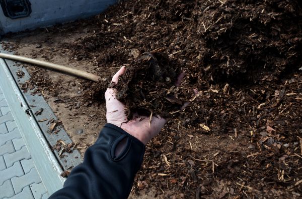Condo Mulching in Conway